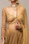 Buy Gold Net Hand Embroidered Sequins And Cut Beads Plunge V Lehenga