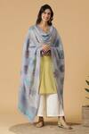 Buy_Shingora_Blue Silk Abstract Floral Jacquard Woven Dupatta_at_Aza_Fashions