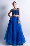 Buy_Sonaakshi Raaj_Blue Swiss Net Embellished Skirt With Draped Blouse_at_Aza_Fashions