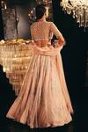 Shop_Ridhi Mehra_Beige Net Shannon Lehenga Set_at_Aza_Fashions