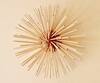 Shop_Tessera_Pokey Toothpick Holder_at_Aza_Fashions