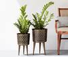 Buy_The Decor Remedy_Polka Dot Hammered Planters (Set of 2)_at_Aza_Fashions