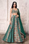 Buy_Ariyana Couture_Green Lehenga: Tussar Georgette Printed Patola V Panelled Set For Women_at_Aza_Fashions