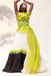 Richa Khemka_Green Organza Cut And Applique Bird Grove Ruffle Overlay & Skirt Set_Online_at_Aza_Fashions