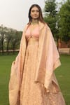 Safaa_Pink Organza Woven Banarasi Weave V Neck Maha Lehenga Set _Online_at_Aza_Fashions