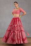 Torani_Pink Lehenga Butterfly Net And Cotton Silk Embroidery Dori & Floral Set _Online_at_Aza_Fashions