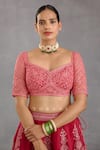 Buy_Torani_Pink Lehenga Butterfly Net And Cotton Silk Embroidery Dori & Floral Set _Online_at_Aza_Fashions