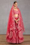 Buy_Torani_Pink Lehenga Butterfly Net And Cotton Silk Embroidery Dori & Floral Set _at_Aza_Fashions
