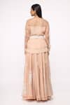 Shop_Neeta Bhargava_Beige Organza, Tissue, Crepe Hand-painted Lehenga Set _at_Aza_Fashions