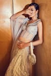 Moledro_Silver Saree- Lurex And Corset & Pallu- Butterfly Net Viti Sharara With Blouse_Online_at_Aza_Fashions