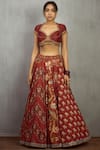 Torani_Maroon Cotton Silk Chanderi Printed Lehenga Set_Online_at_Aza_Fashions