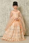 Buy_Petite Pomme_Peach Net Embroidery, Mirrors Work Embellished Lehenga Set_at_Aza_Fashions