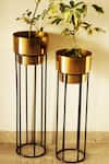 Buy_Kaksh Studio_Gold Aluminium And Iron Noir Planter With Stand Set Of 2_at_Aza_Fashions