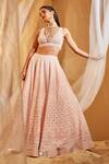 Buy_House of Exotique_Pink Net Mirrors V-neck Embroidered Lehenga Set _at_Aza_Fashions