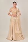Buy_Tamaraa By Tahani_Beige Tulle, Turkish Satin Sequins Square Neck Sadie Embellished Lehenga Set _at_Aza_Fashions
