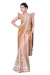 Buy_Archana Kochhar_Gold Net Hand Embroidery Lucknowi V Neck Floral Saree With Blouse _at_Aza_Fashions