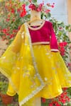 Buy_Tiny Pants_Yellow Organza And Velvet Embroidery Leaf Flower Vine Lehenga Set _at_Aza_Fashions