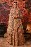 Buy_Moledro_Peach Embroidered Applique Sweetheart Neck Bahaar Blooming Bridal Lehenga Set _at_Aza_Fashions