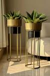Buy_Mason Home_Gold Iron Brooklyn Fluted Planter - Set Of 2_at_Aza_Fashions