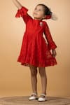 Buy_Darleen Kids Couture_Red Taffeta, Chanderi, Linen Embroidery Queen Of Roses Dress _at_Aza_Fashions