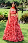 Buy_Redpine Designs_Red Viscose, Net Sequins, Embroidery, Cut Work Floral Print Lehenga Set _at_Aza_Fashions