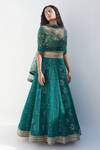 Buy_Nadima Saqib_Green Blouse Tissue Embroidery Lucknowi V Neck Lehenga Set _at_Aza_Fashions