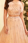 Shop_Shivani Awasty_Pink Embroidery Stripe Feather Embellished Blouse Lehenga Set _at_Aza_Fashions