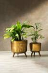 Buy_S. G. Home_Gold Metal Rustic Planter_at_Aza_Fashions