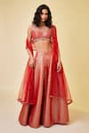 Buy_Shyam Narayan Prasad_Red Brocade Embroidered Zardozi Work Leaf Neck Sharara Blouse Set _at_Aza_Fashions