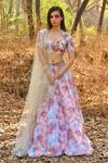 Buy_Disha Kahai_Multi Color Organza Printed Butterfly Sweetheart Neck Lehenga Set _at_Aza_Fashions