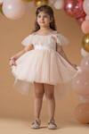 Buy_Darleen Kids Couture_White Net, Satin Embroidery, Sequins Butterfly Blush Dress _at_Aza_Fashions