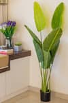 Buy_H2H_Green Polyester And Plastic Artificial Banana Plant _at_Aza_Fashions