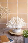 Buy_H2h_White Ceramic Faux Coral Sculpture_at_Aza_Fashions
