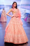 Buy_Anushree Reddy_Orange Organza Embroidery Zari Nirvana Flower Vine Bridal Lehenga Set  _at_Aza_Fashions