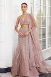 Buy_Charu and Vasundhara_Pink Net Embroidery Sequin V Neck Sasha Leaf Pattern Bridal Lehenga Set_at_Aza_Fashions