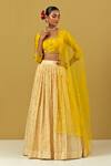 Buy_Ikshita Choudhary_Yellow Net Hand Embroidered Chita Work Dupatta_at_Aza_Fashions