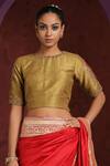 Buy_Weaver Story_Gold Raw Silk Hand Embroidered Parrot Motifs Round Bird Blouse _at_Aza_Fashions