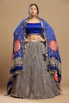 Buy_Etasha by Asha Jain_Blue Gajji Silk And Tissue Embroidered Textured Square Neck Flared Lehenga Set _at_Aza_Fashions