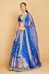 Buy_Amrin khan_Blue Blouse Velvet Hand Floral Pattern Bridal Lehenga Set  _at_Aza_Fashions