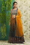 Buy_Alaya Advani_Blue Lehenga Banarasi Chinon Printed And Embroidered Ogee Pattern Blouse Set_at_Aza_Fashions