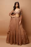 Buy_Ahi Clothing_Gold Heavy Organza Hand Embroidered Zari V Neck Blouse Lehenga Set _at_Aza_Fashions