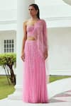 Buy_Moledro_Pink Butterfly Net Mirror Work, Diva Embellished Draped Saree With Blouse_at_Aza_Fashions