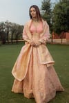 Buy_Safaa_Pink Organza Woven Banarasi Weave V Neck Maha Lehenga Set _at_Aza_Fashions