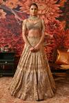 Buy_Moledro_Gold Lehenga Zari Brocade Embellished Amiya Dabka Embroidered Bridal Set _at_Aza_Fashions