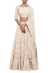 Nakul Sen_Pink Chikankari Embroidered Lehenga Set_Online_at_Aza_Fashions