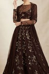 Astha Narang_Brown Net Embroidered Nakshi Illusion Botanic Lehenga Set _at_Aza_Fashions