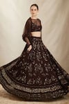 Shop_Astha Narang_Brown Net Embroidered Nakshi Illusion Botanic Lehenga Set _Online_at_Aza_Fashions