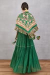 Shop_Torani_Green Panna Roshey Scarf _at_Aza_Fashions
