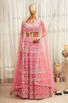 Aneesh Agarwaal_Embroidered Lehenga Set_Online_at_Aza_Fashions
