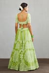 Shop_Torani_Green Organza Angoori Meher Passa Lehenga Set_at_Aza_Fashions